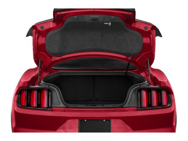 used 2017 Ford Shelby GT350R car