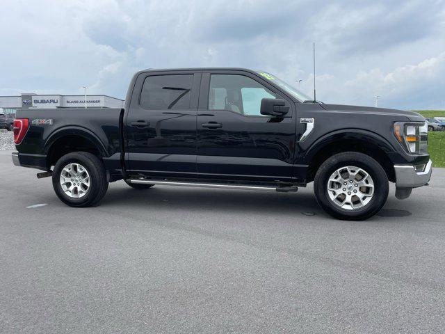 used 2023 Ford F-150 car, priced at $39,000