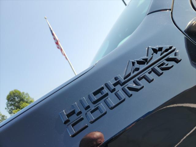 new 2024 Chevrolet Silverado 1500 car, priced at $73,830