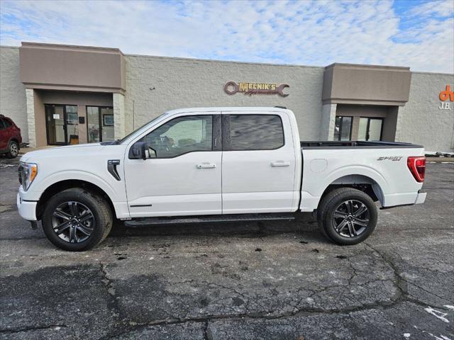 used 2023 Ford F-150 car, priced at $35,995