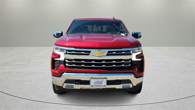 new 2024 Chevrolet Silverado 1500 car, priced at $51,250