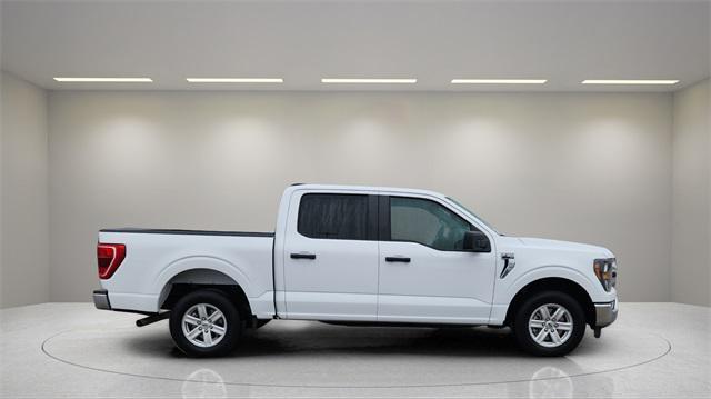 used 2023 Ford F-150 car, priced at $32,500