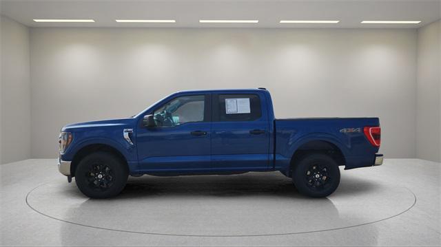 used 2023 Ford F-150 car, priced at $36,000