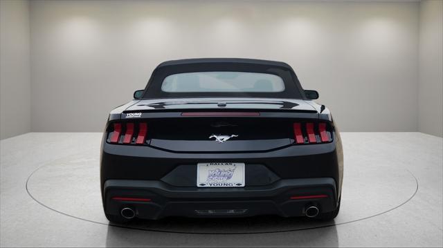 used 2024 Ford Mustang car, priced at $34,000