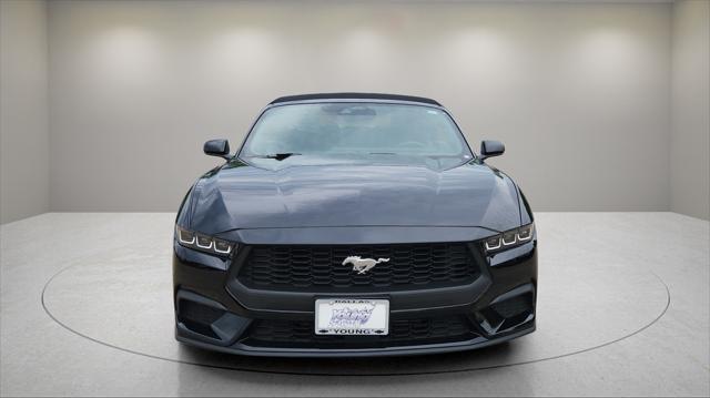 used 2024 Ford Mustang car, priced at $34,000