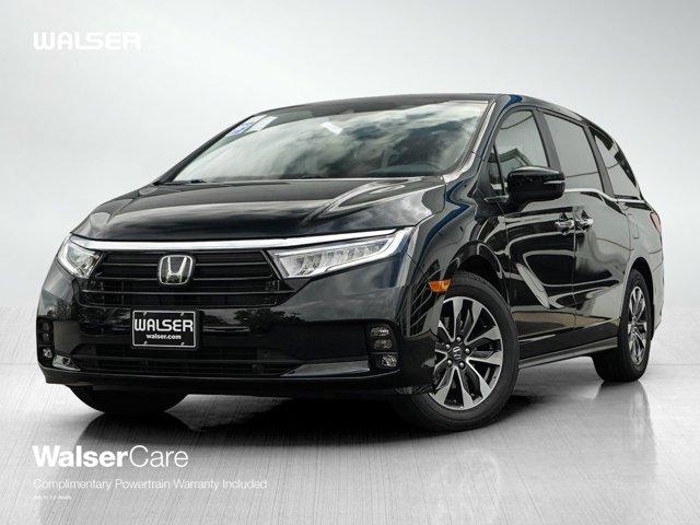 new 2024 Honda Odyssey car, priced at $41,099