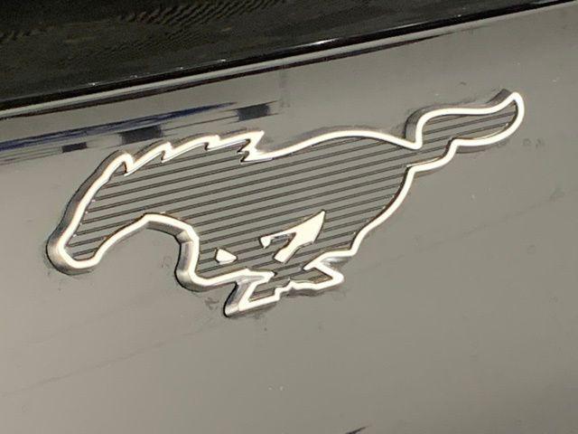 new 2025 Ford Mustang Mach-E car, priced at $46,157