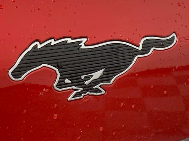 used 2021 Ford Mustang Mach-E car, priced at $28,780