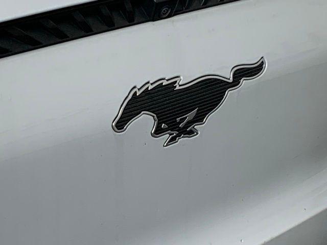 used 2023 Ford Mustang Mach-E car, priced at $24,970