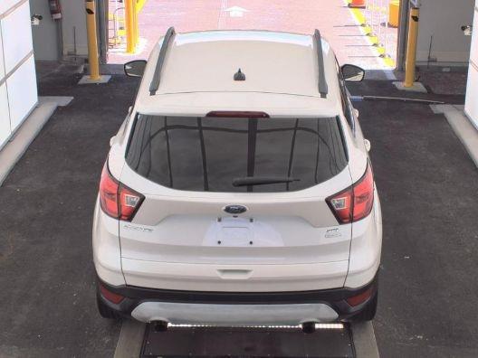 used 2019 Ford Escape car, priced at $19,558