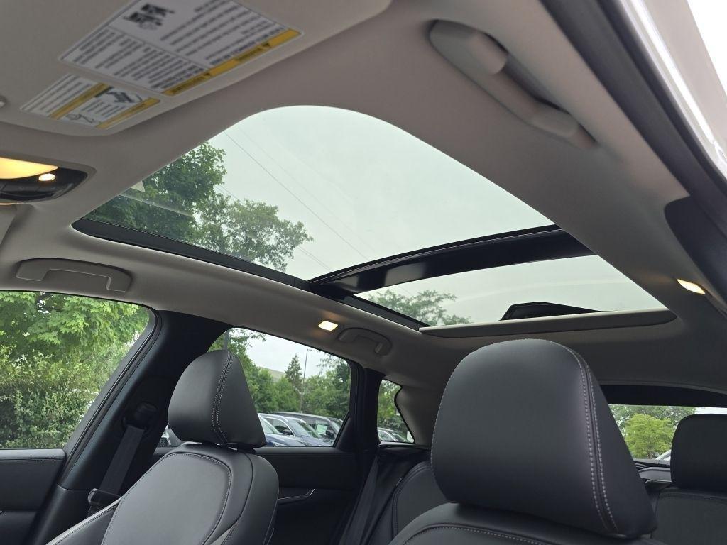 new 2025 INFINITI QX50 car, priced at $47,998