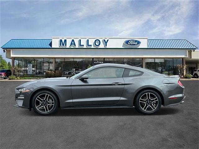 used 2019 Ford Mustang car, priced at $19,981