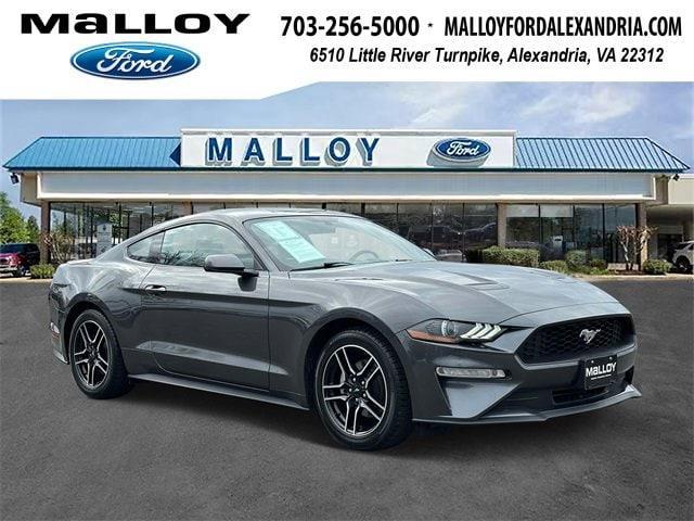 used 2019 Ford Mustang car, priced at $19,981