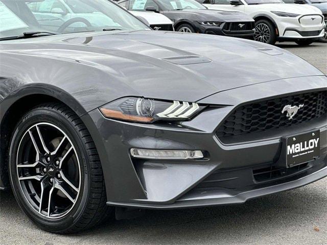 used 2019 Ford Mustang car, priced at $19,981