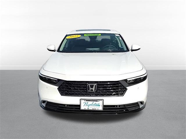 new 2025 Honda Accord Hybrid car, priced at $38,429