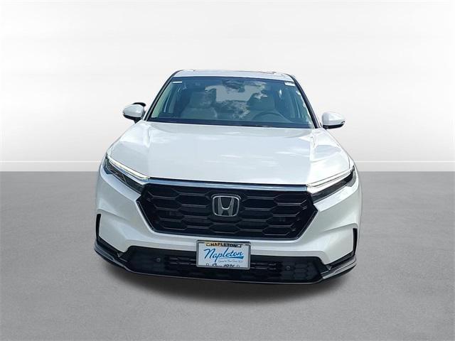new 2026 Honda CR-V car, priced at $37,295