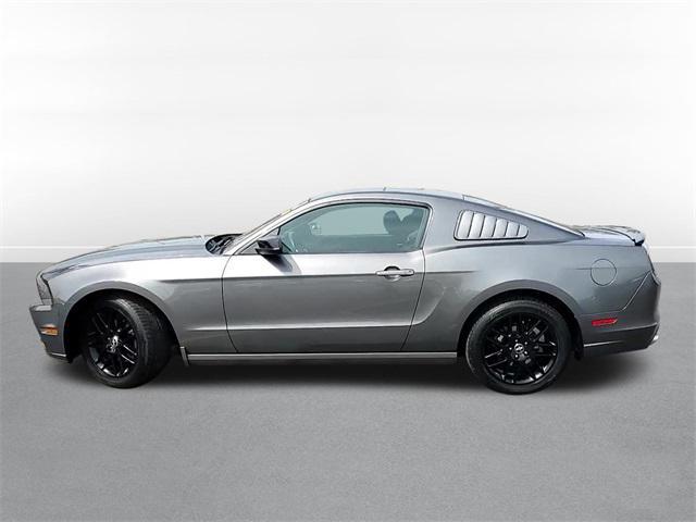 used 2014 Ford Mustang car, priced at $11,000