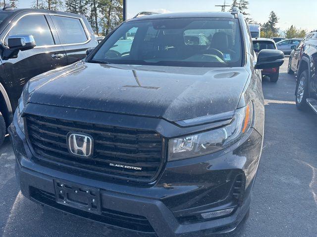 used 2024 Honda Passport car, priced at $41,489