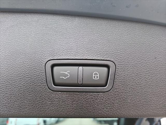 new 2024 Dodge Hornet car, priced at $36,100