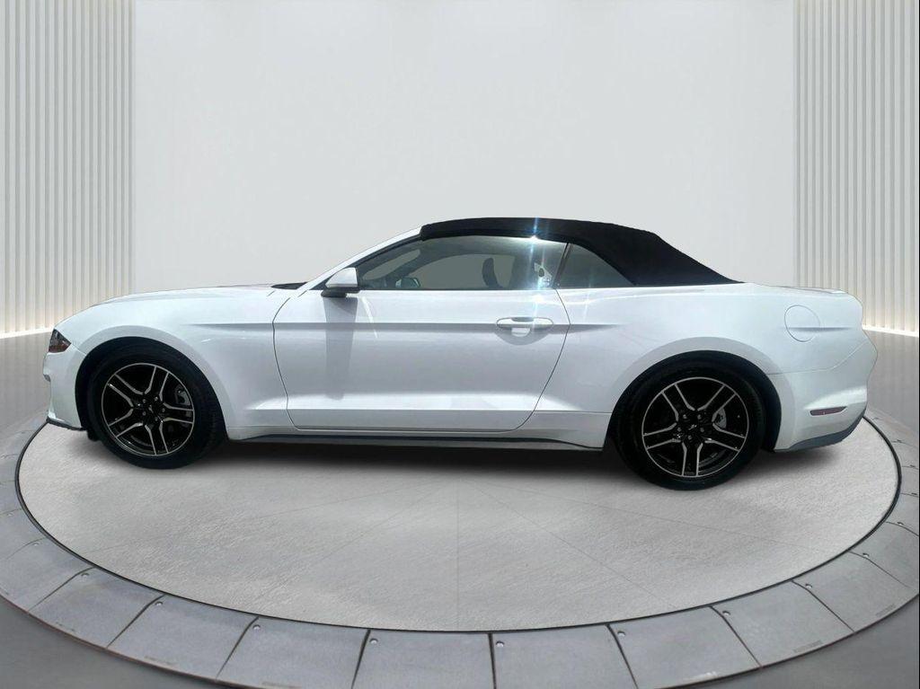 used 2022 Ford Mustang car, priced at $21,000