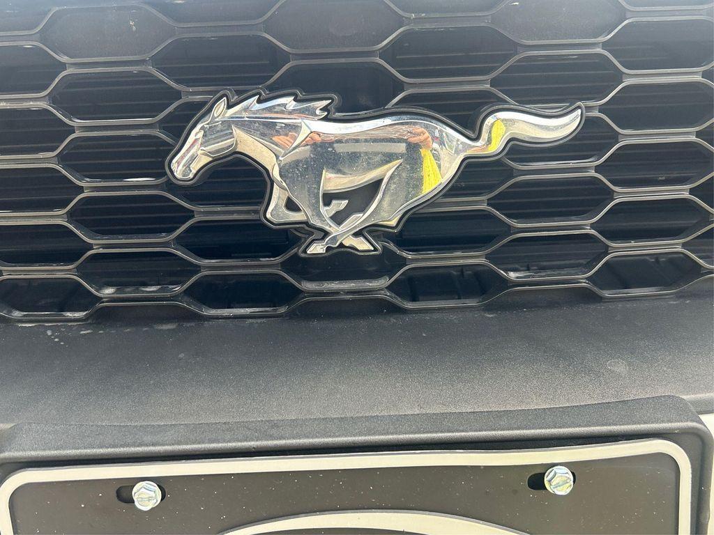 used 2022 Ford Mustang car, priced at $21,000