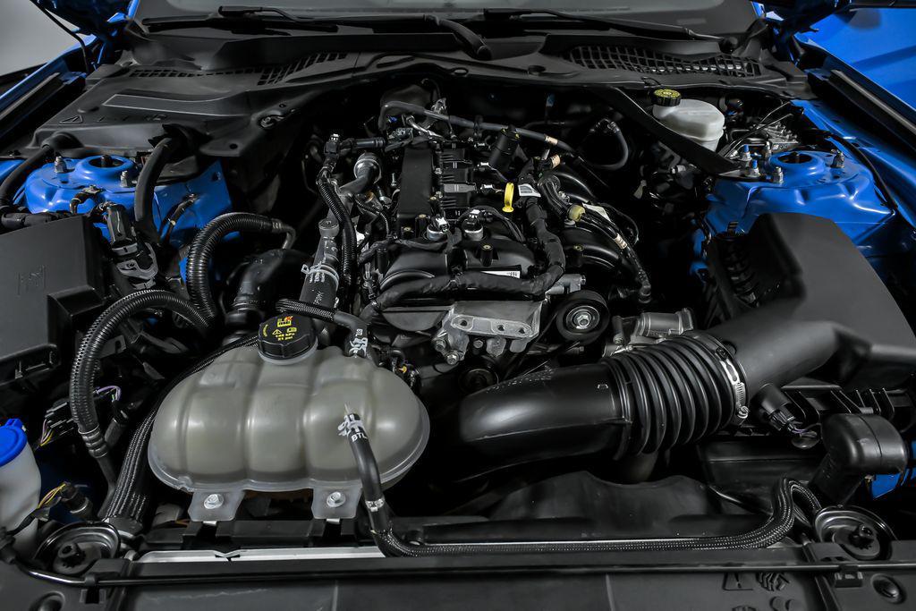 used 2023 Ford Mustang car