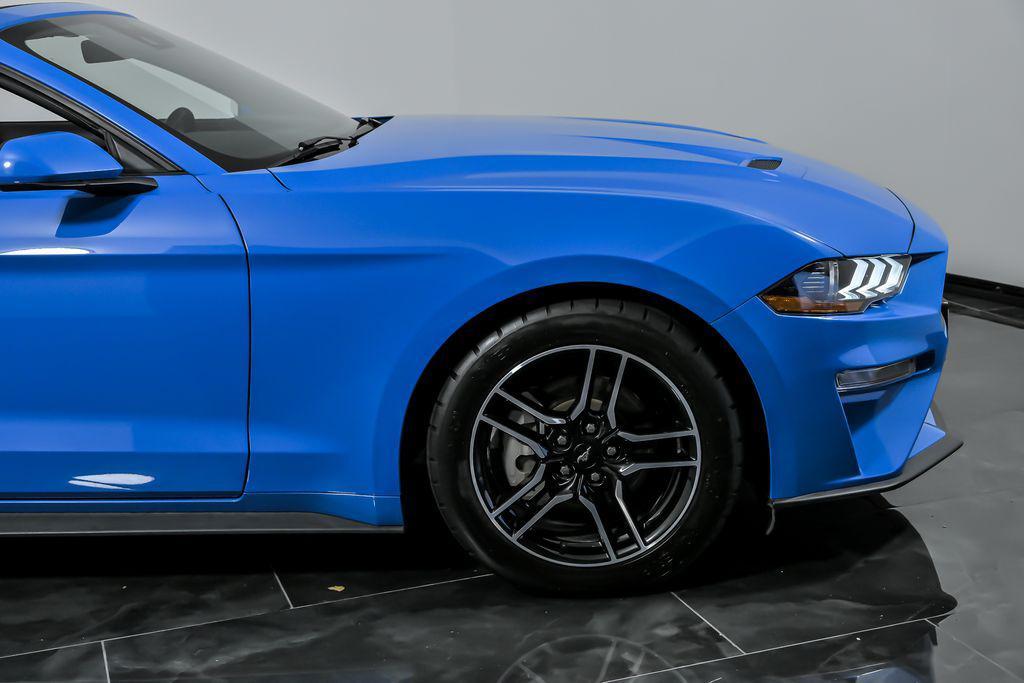 used 2023 Ford Mustang car