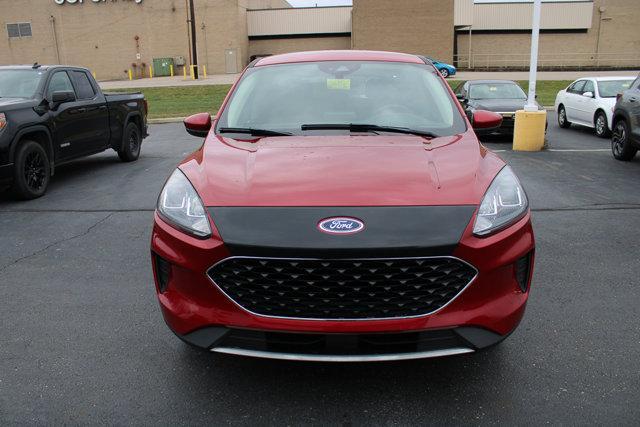 used 2020 Ford Escape car, priced at $16,000