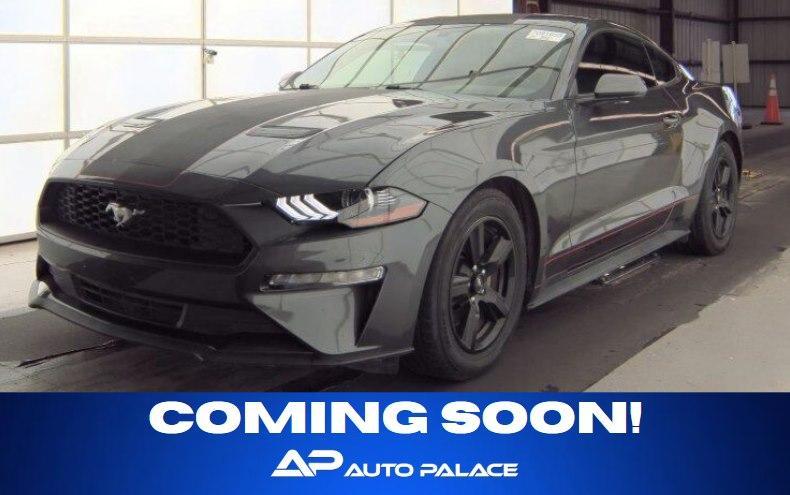 used 2019 Ford Mustang car