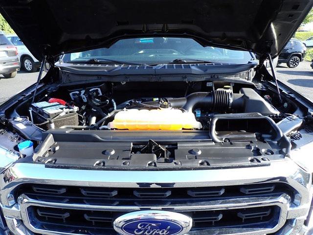 used 2021 Ford F-150 car, priced at $36,859