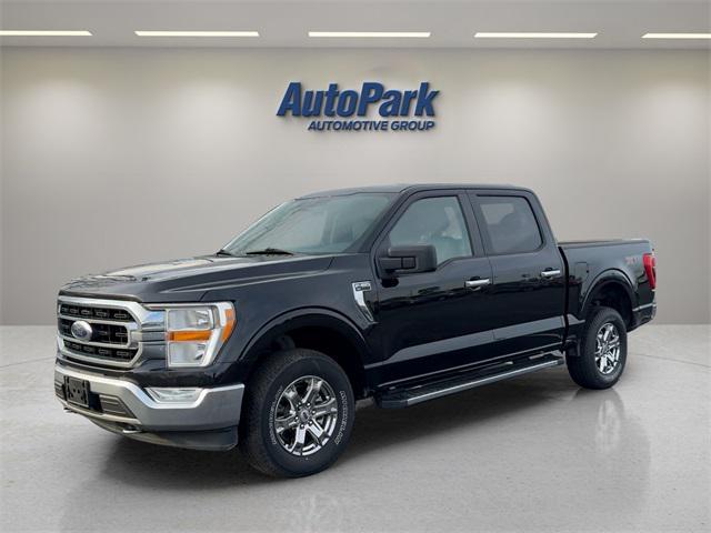 used 2021 Ford F-150 car, priced at $35,995