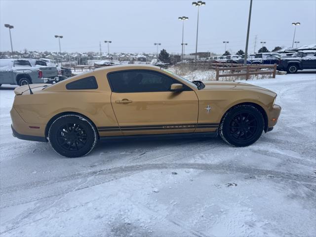 used 2010 Ford Mustang car, priced at $7,999