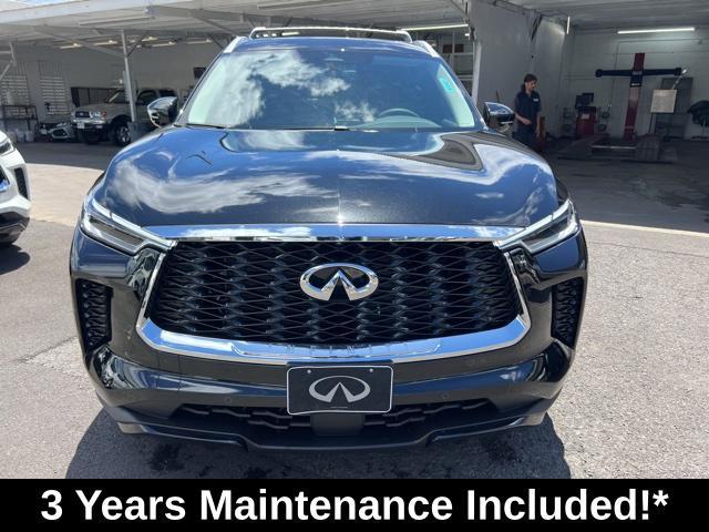 new 2024 INFINITI QX60 car, priced at $62,759