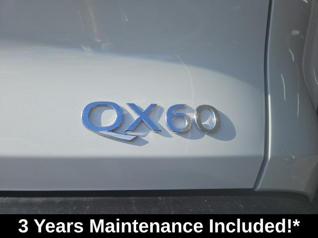 new 2024 INFINITI QX60 car, priced at $54,909