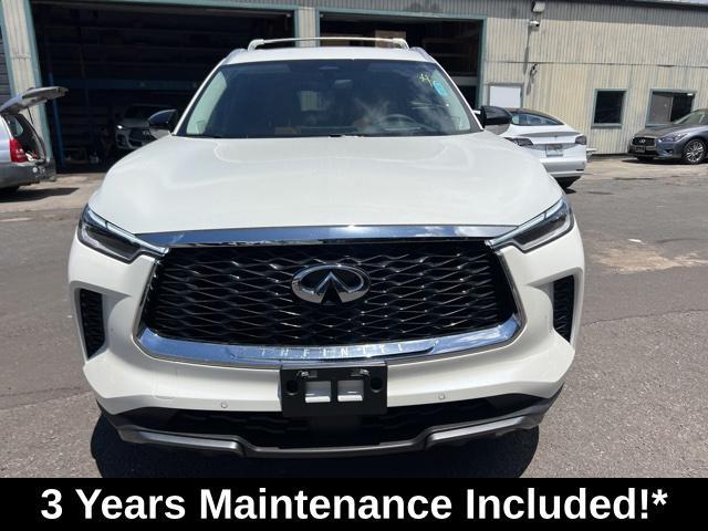 new 2024 INFINITI QX60 car, priced at $69,064