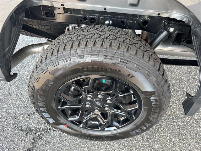 new 2025 Ford F-150 car, priced at $47,119