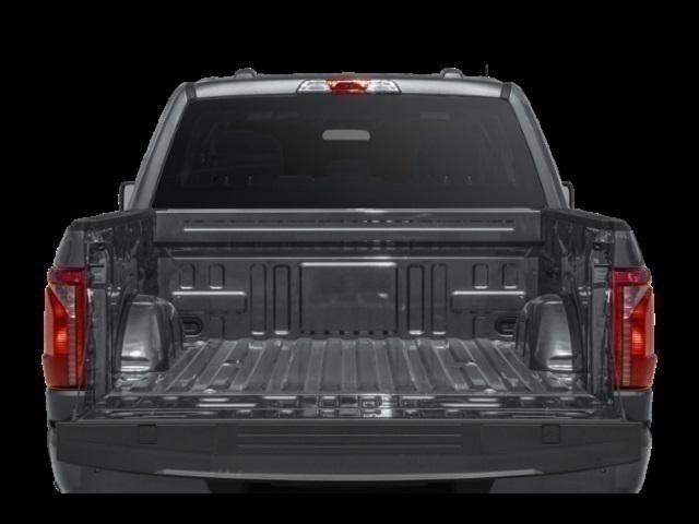 new 2025 Ford F-150 car, priced at $47,119