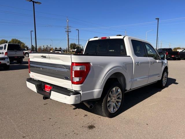 used 2023 Ford F-150 car, priced at $53,998