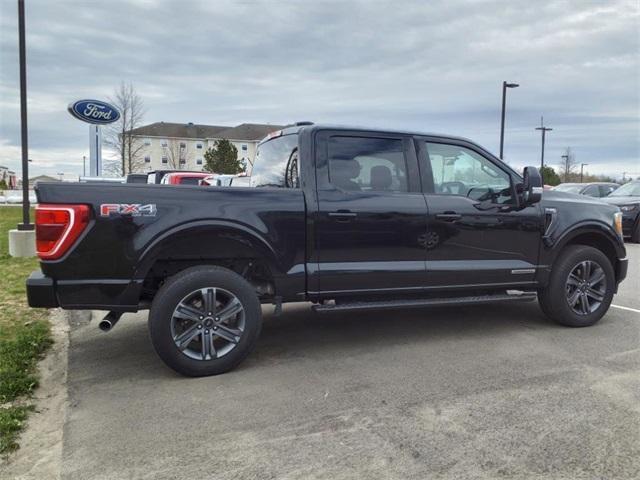 used 2023 Ford F-150 car, priced at $53,589