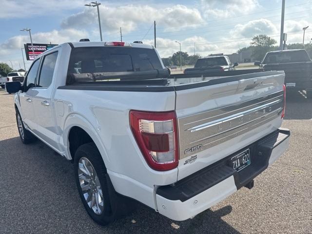 used 2023 Ford F-150 car, priced at $49,100