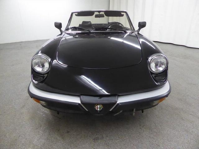 used 1986 Alfa Romeo Spider car, priced at $15,000