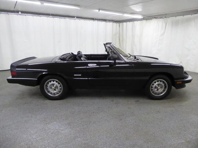 used 1986 Alfa Romeo Spider car, priced at $15,000