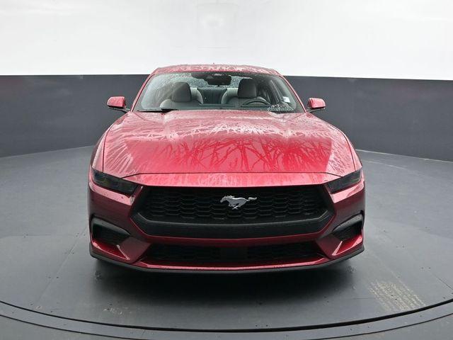 new 2025 Ford Mustang car, priced at $29,595