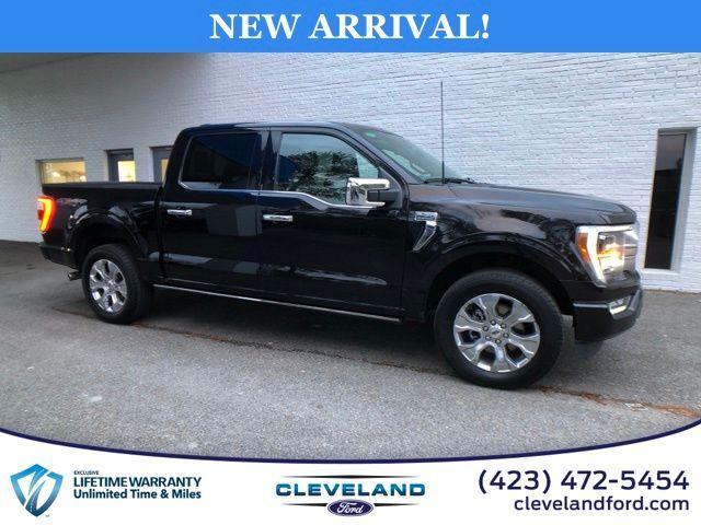 used 2023 Ford F-150 car, priced at $58,748