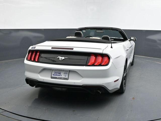 used 2019 Ford Mustang car, priced at $21,781