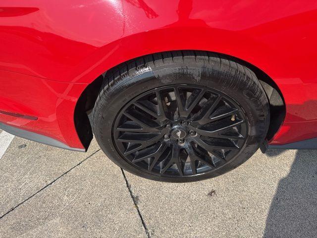 used 2019 Ford Mustang car, priced at $29,591