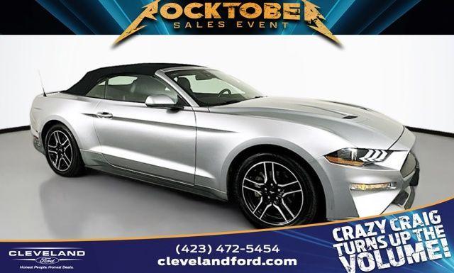 used 2022 Ford Mustang car, priced at $21,991