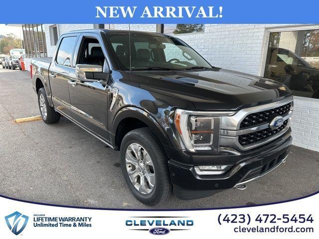 used 2022 Ford F-150 car, priced at $51,798