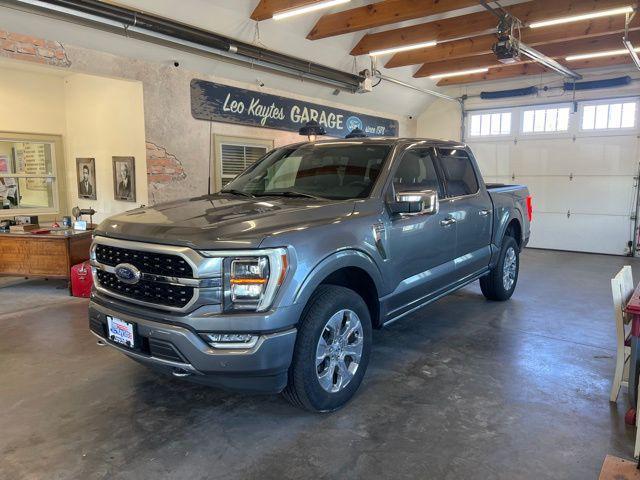 used 2023 Ford F-150 car, priced at $53,500