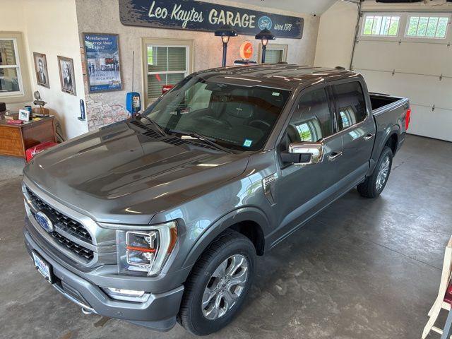 used 2023 Ford F-150 car, priced at $53,500
